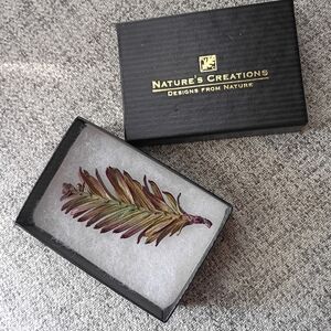 Redwood Natural Sprig